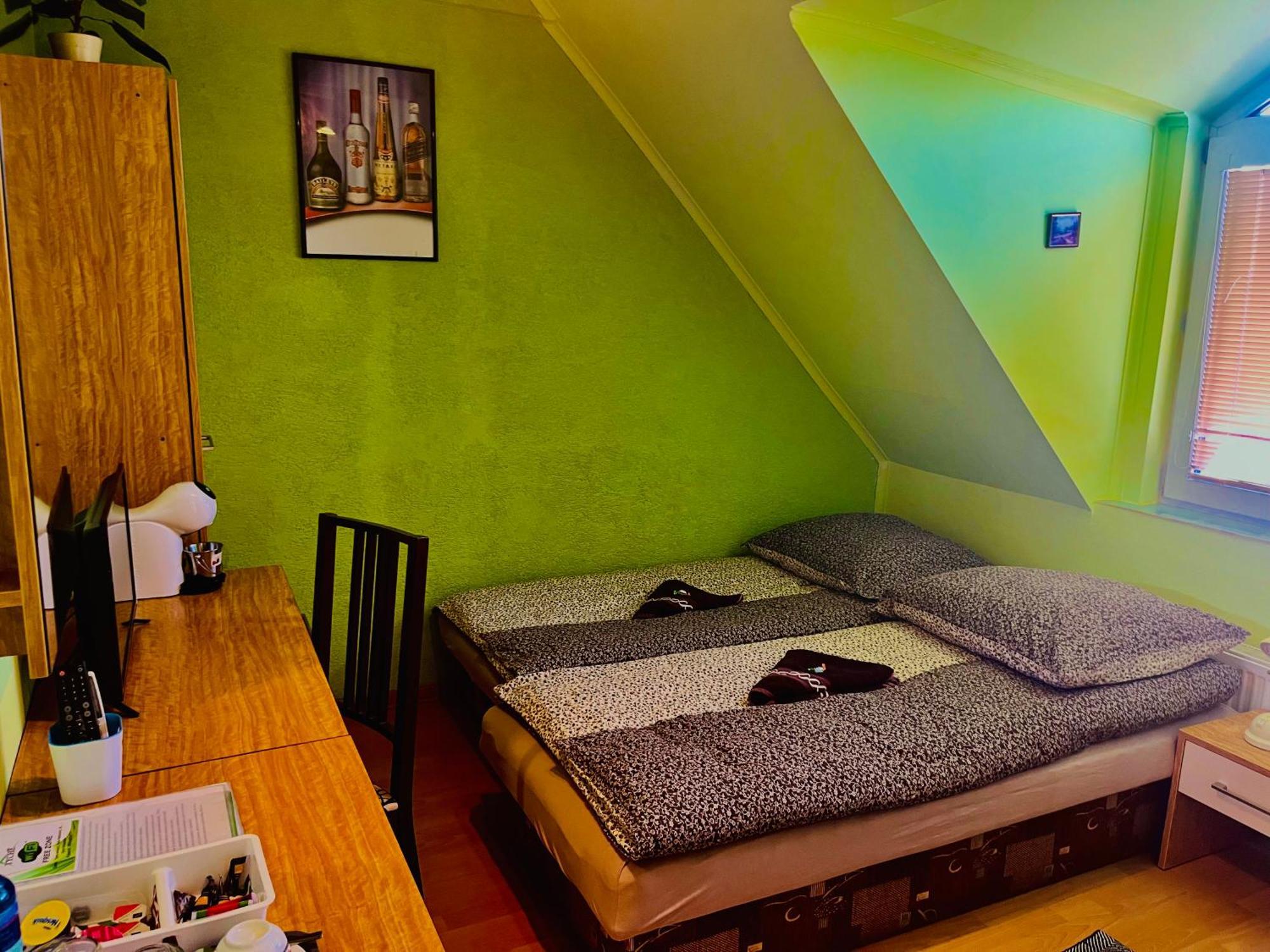 Penzion Tyche Surany Exteriér fotografie